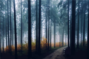 The Non-Financial Aspects in Retirement